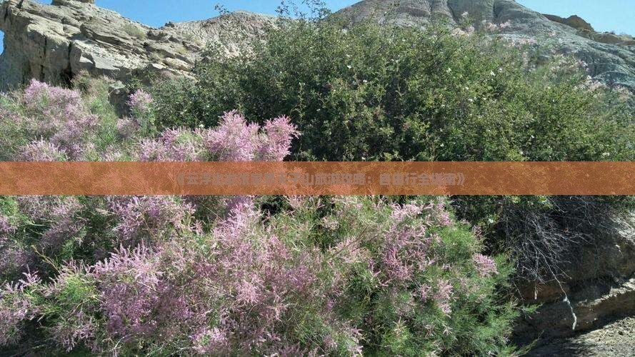 《云浮出发张家界天子山旅游攻略：自由行全指南》
