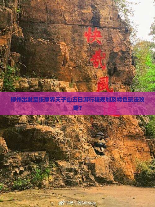 柳州出发至张家界天子山五日游行程规划及特色玩法攻略？