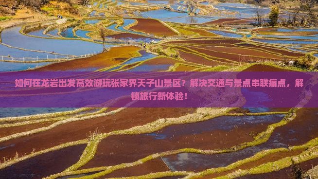 如何在龙岩出发高效游玩张家界天子山景区？解决交通与景点串联痛点，解锁旅行新体验！