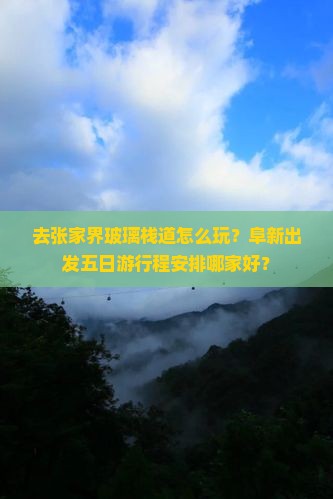 去张家界玻璃栈道怎么玩？阜新出发五日游行程安排哪家好？