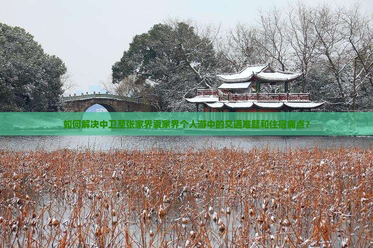 如何解决中卫至张家界袁家界个人游中的交通难题和住宿痛点？