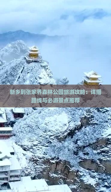 新乡到张家界森林公园旅游攻略：详细路线与必游景点推荐