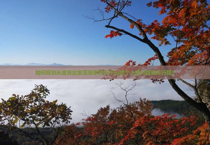 如何规划从淮安出发至张家界天子山的个人旅行路线与行程？