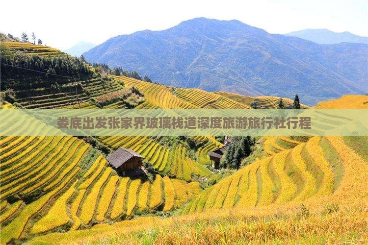 娄底出发张家界玻璃栈道深度旅游旅行社行程