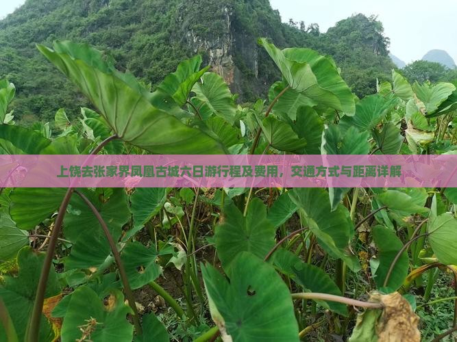 上饶去张家界凤凰古城六日游行程及费用，交通方式与距离详解