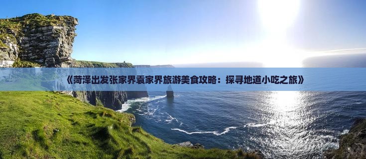 《菏泽出发张家界袁家界旅游美食攻略：探寻地道小吃之旅》