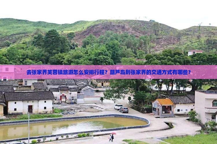 去张家界芙蓉镇旅游怎么安排行程？葫芦岛到张家界的交通方式有哪些？