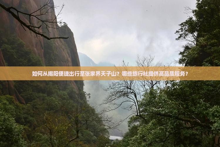 如何从揭阳便捷出行至张家界天子山？哪些旅行社提供高品质服务？