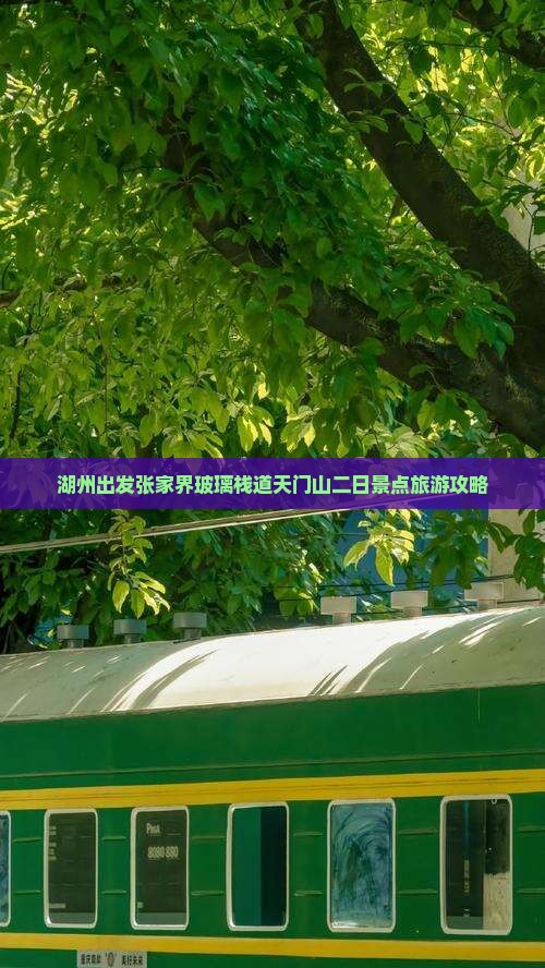 湖州出发张家界玻璃栈道天门山二日景点旅游攻略