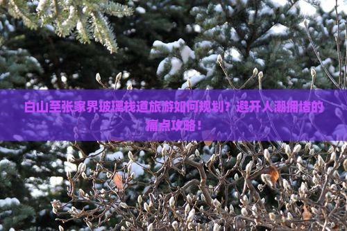 白山至张家界玻璃栈道旅游如何规划？避开人潮拥堵的痛点攻略！