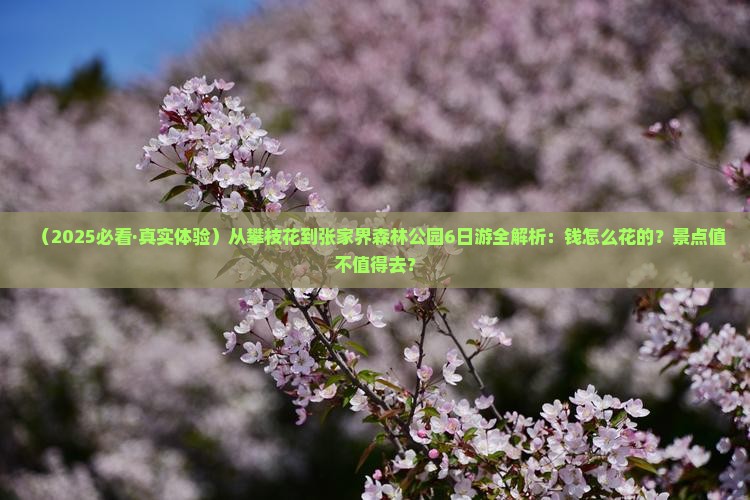 攀枝花去张家界森林公园六日游