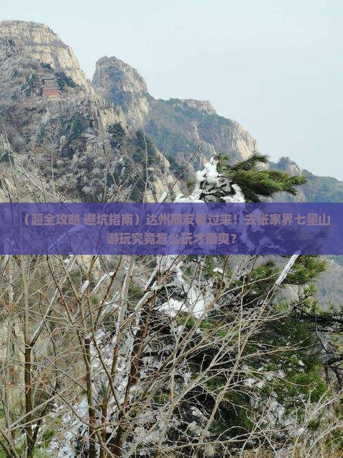 达州到张家界七星山旅行社