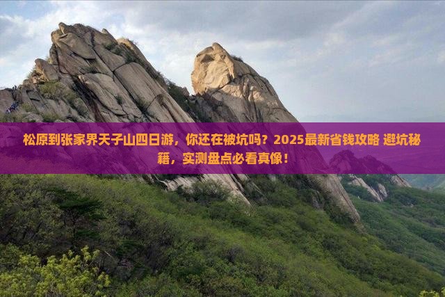 松原到张家界天子山四日游