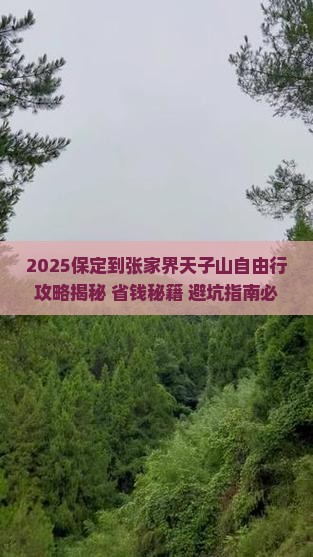 保定到张家界天子山自由行