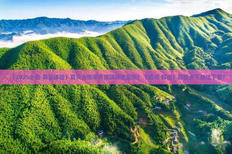 夏天到张家界玻璃栈道旅游