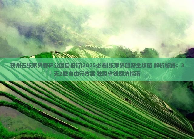 朔州去张家界森林公园自由行