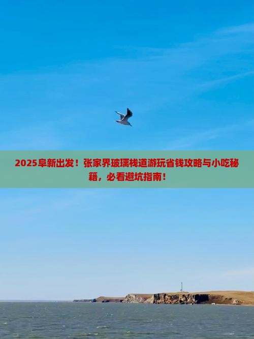 阜新去张家界玻璃栈道旅游小吃