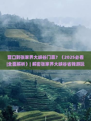 营口到张家界大峡谷门票