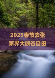春节到张家界大峡谷自由行