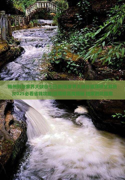 梅州到张家界大峡谷七日游 梅州到张家界大峡谷七日游