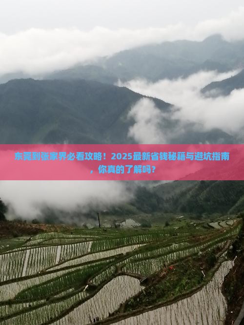 东莞到张家界攻略