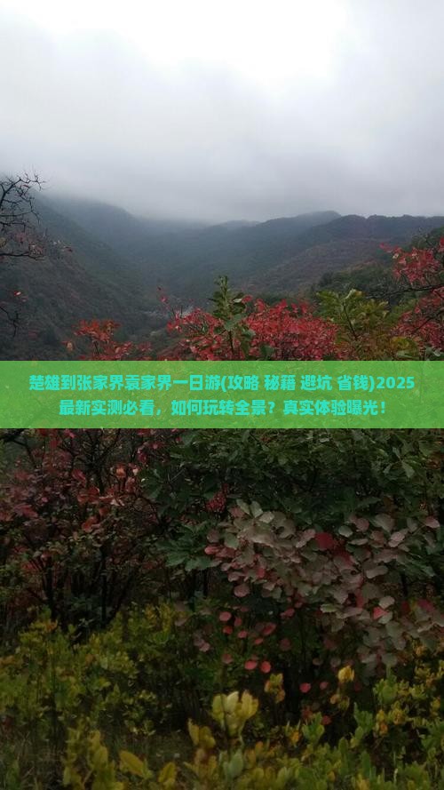 楚雄到张家界袁家界一日