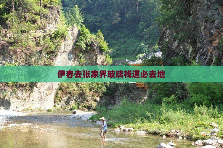 伊春去张家界玻璃栈道必去地