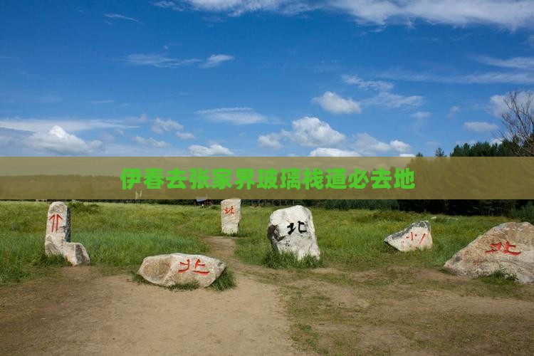 伊春去张家界玻璃栈道必去地