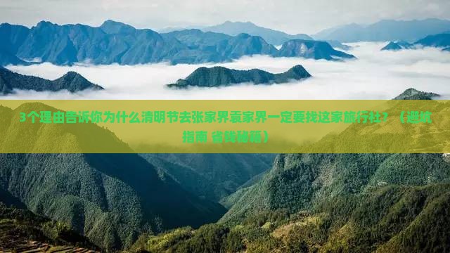 清明节去张家界袁家界旅行社