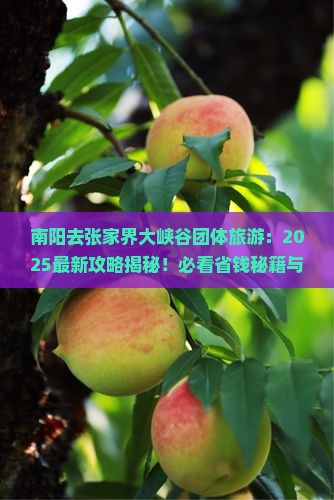 南阳去张家界大峡谷团体旅游