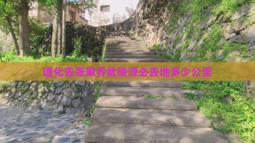 通化去张家界武陵源必去地
