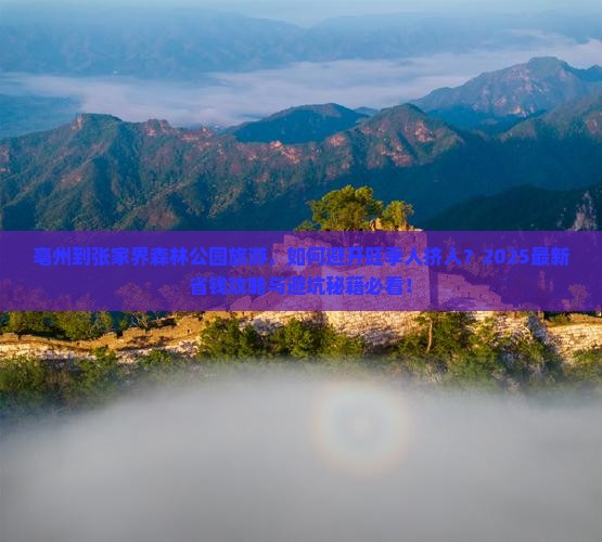 亳州到张家界森林公园旅游