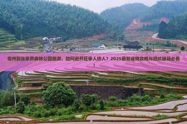 亳州到张家界森林公园旅游