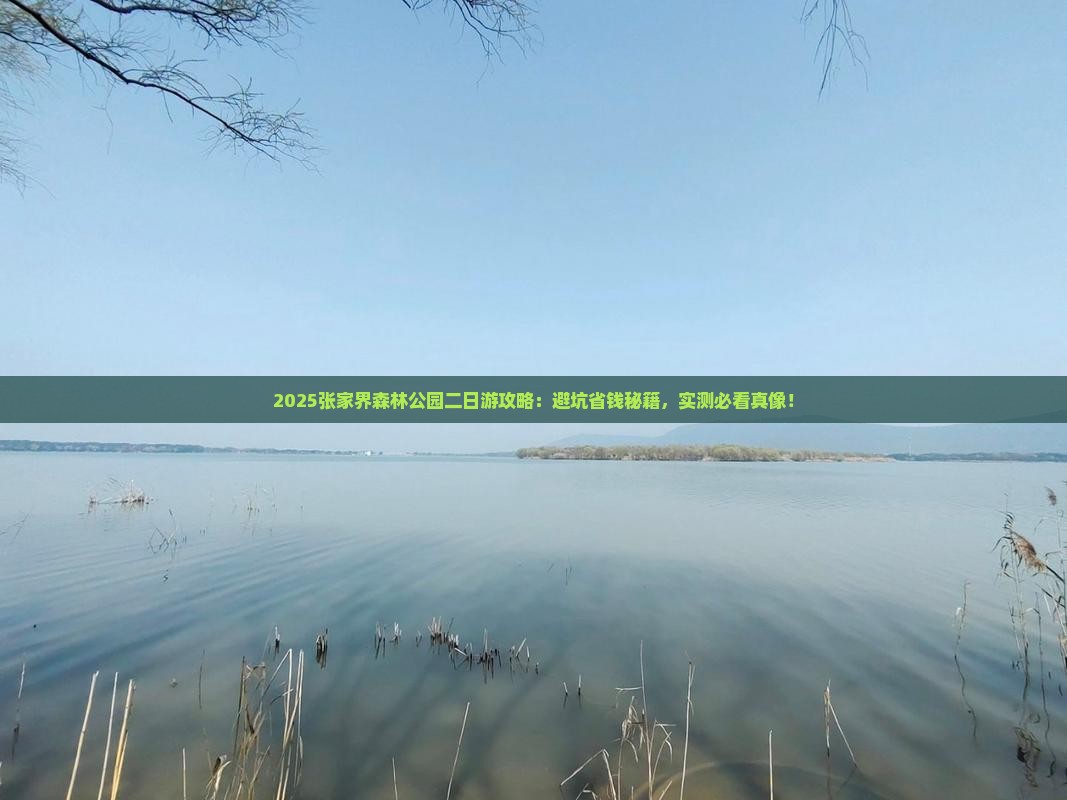 六月到张家界森林公园二日游