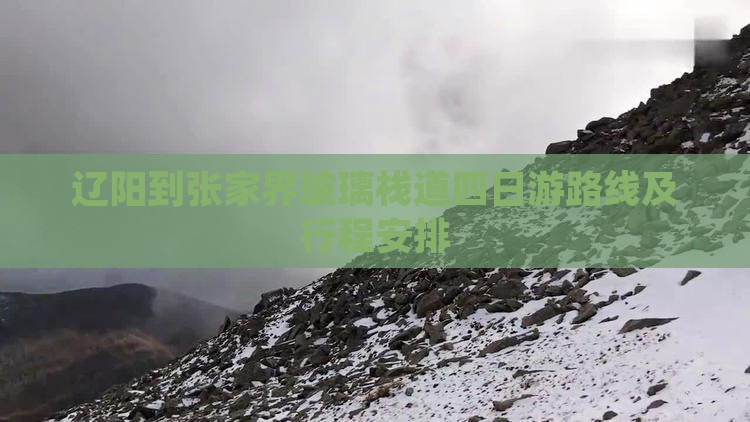 辽阳到张家界玻璃栈道四日游
