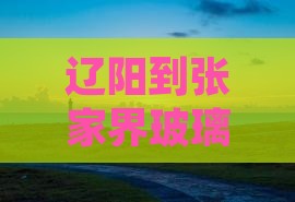 辽阳到张家界玻璃栈道四日游