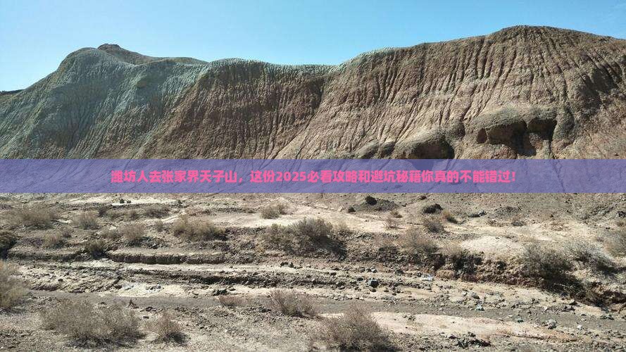 潍坊去张家界天子山旅行社