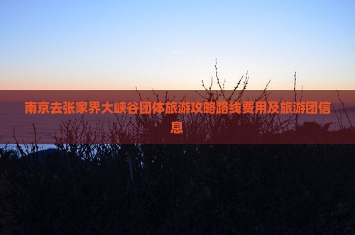 南京去张家界大峡谷团体旅游