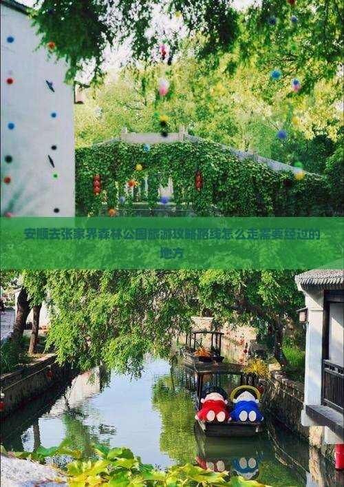 安顺去张家界森林公园旅游