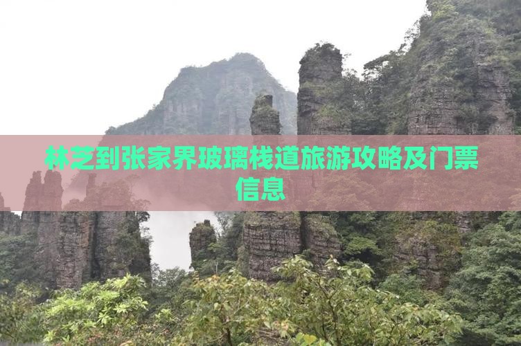 林芝到张家界玻璃栈道门票