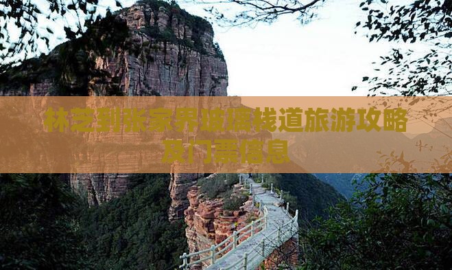 林芝到张家界玻璃栈道门票
