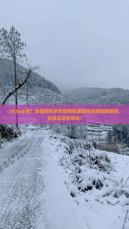 海西到张家界玻璃栈道团体旅游