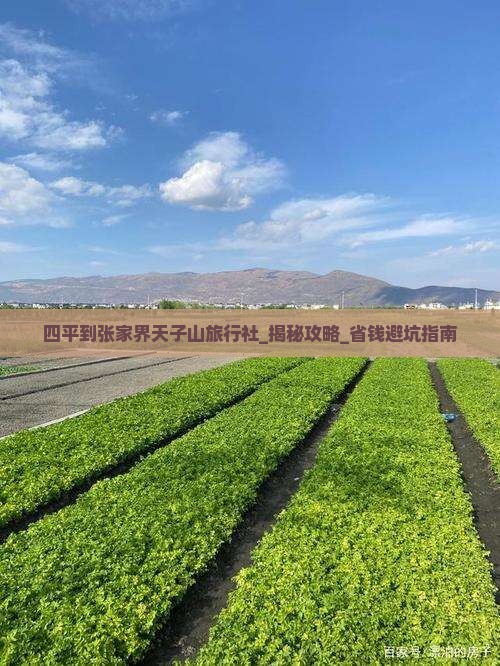 四平到张家界天子山旅行社