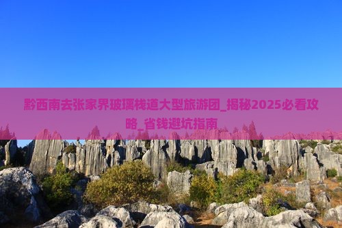 黔西南去张家界玻璃栈道大型旅游团