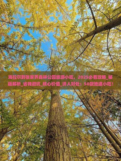 海拉尔到张家界森林公园旅游小吃