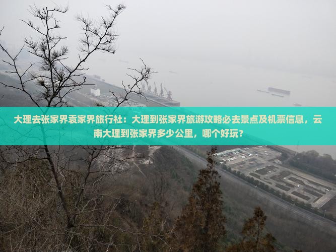 大理去张家界袁家界旅行社