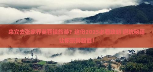 来宾去张家界芙蓉镇旅游