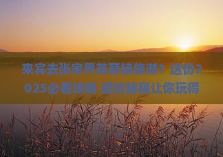 来宾去张家界芙蓉镇旅游