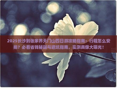 长沙到张家界天门山四日游