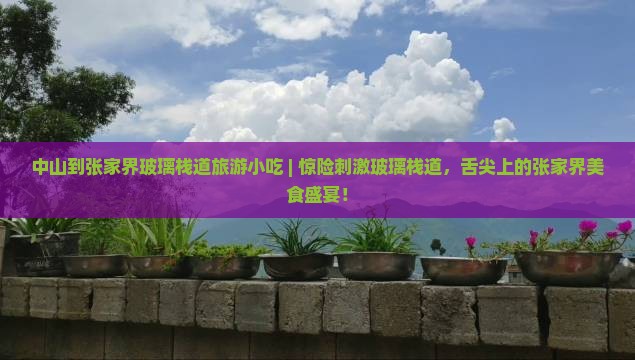 中山到张家界玻璃栈道旅游小吃